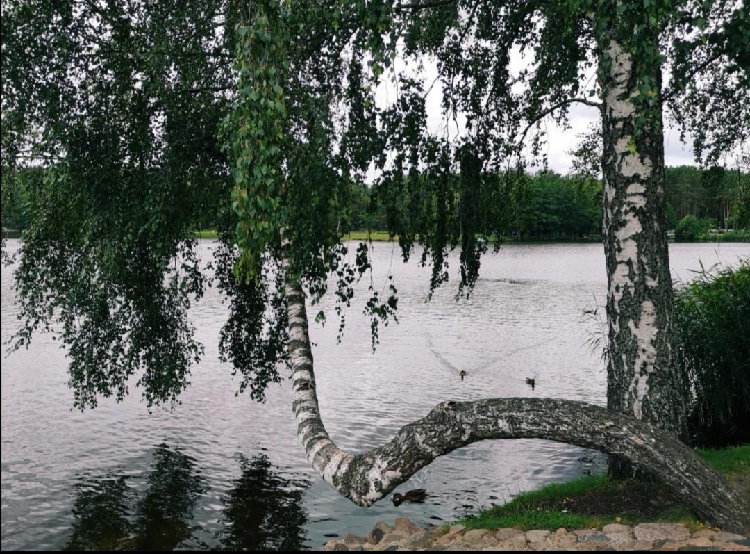 Aguona Apartament Apartment Druskininkai Luaran gambar